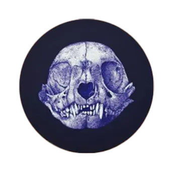 Cat skull drawing tinted purple, over a black circle.