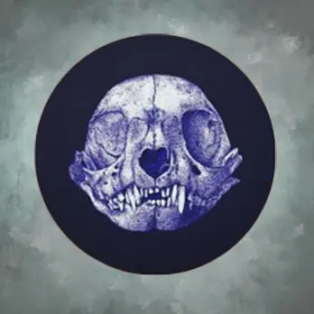 Cat skull drawing tinted purple, over a black circle.